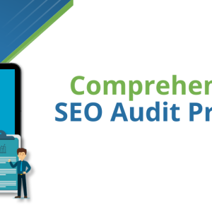 Comprehensive SEO Audit and Strategy Development
