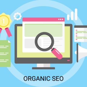 Organic Search Traffic