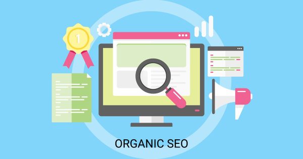 Organic Search Traffic